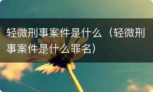 轻微刑事案件是什么（轻微刑事案件是什么罪名）