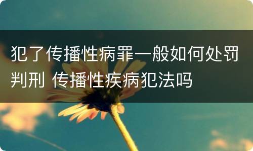 犯了传播性病罪一般如何处罚判刑 传播性疾病犯法吗