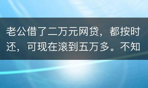 老公借了二万元网贷，都按时还，可现在滚到五万多。不知道怎么办