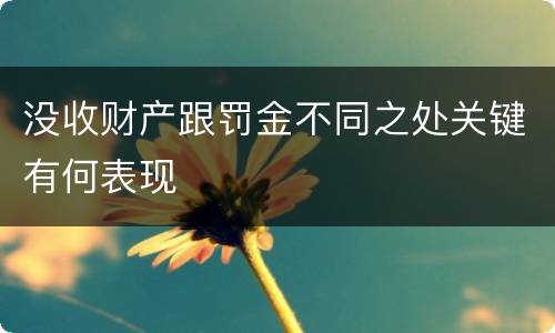 没收财产跟罚金不同之处关键有何表现