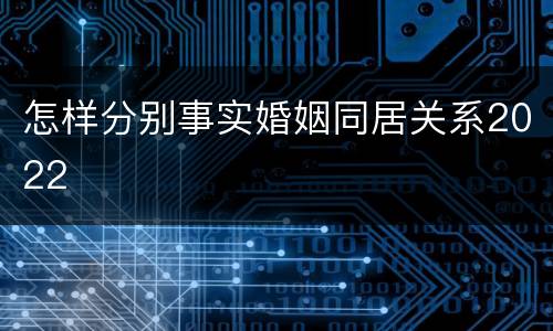 怎样分别事实婚姻同居关系2022