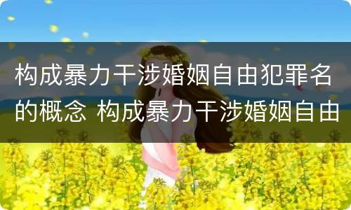 构成暴力干涉婚姻自由犯罪名的概念 构成暴力干涉婚姻自由犯罪名的概念是什么