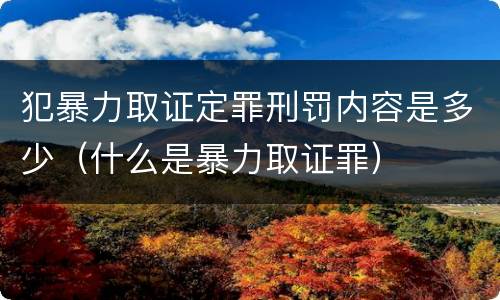 犯暴力取证定罪刑罚内容是多少（什么是暴力取证罪）