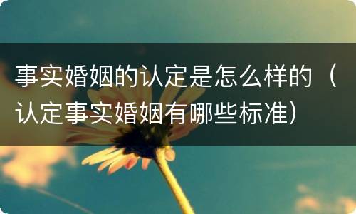 事实婚姻的认定是怎么样的（认定事实婚姻有哪些标准）