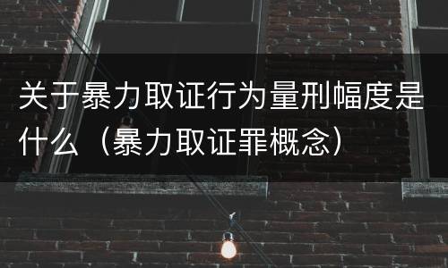 关于暴力取证行为量刑幅度是什么（暴力取证罪概念）