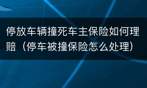 停放车辆撞死车主保险如何理赔（停车被撞保险怎么处理）