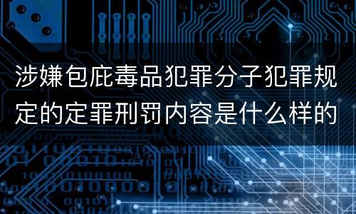 涉嫌包庇毒品犯罪分子犯罪规定的定罪刑罚内容是什么样的