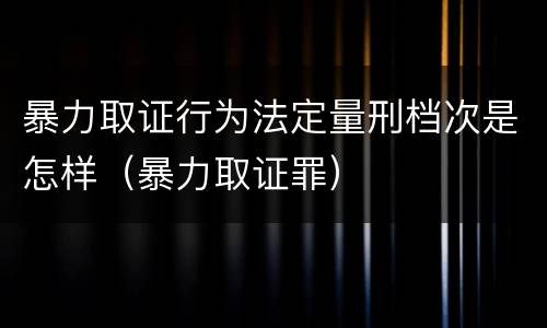 暴力取证行为法定量刑档次是怎样（暴力取证罪）