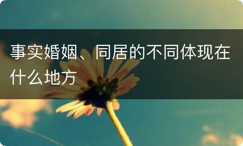 事实婚姻、同居的不同体现在什么地方