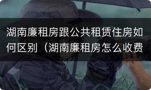 湖南廉租房跟公共租赁住房如何区别（湖南廉租房怎么收费）