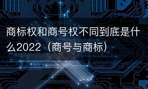 商标权和商号权不同到底是什么2022（商号与商标）