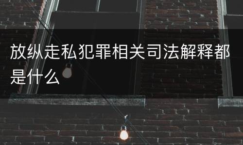 放纵走私犯罪相关司法解释都是什么