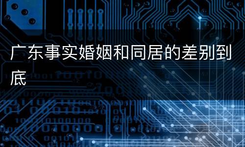 广东事实婚姻和同居的差别到底