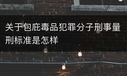 关于包庇毒品犯罪分子刑事量刑标准是怎样