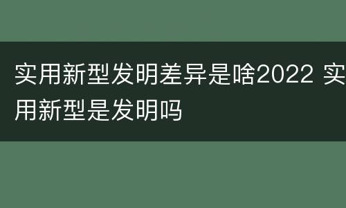 实用新型发明差异是啥2022 实用新型是发明吗