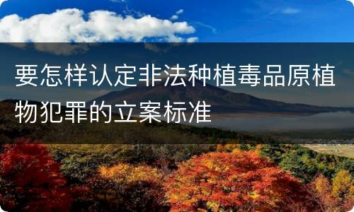 要怎样认定非法种植毒品原植物犯罪的立案标准