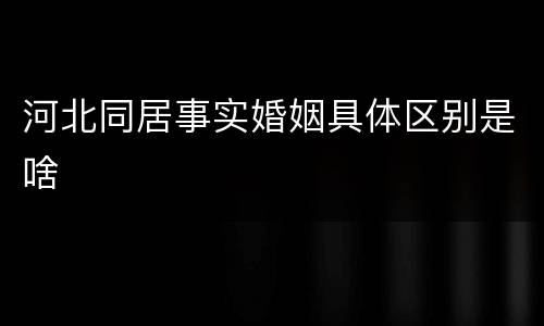 河北同居事实婚姻具体区别是啥