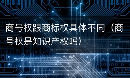 商号权跟商标权具体不同（商号权是知识产权吗）