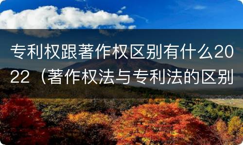 专利权跟著作权区别有什么2022（著作权法与专利法的区别）