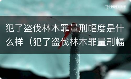 犯了盗伐林木罪量刑幅度是什么样（犯了盗伐林木罪量刑幅度是什么样的）