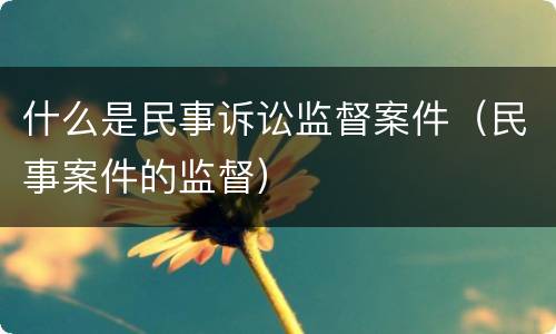 什么是民事诉讼监督案件（民事案件的监督）