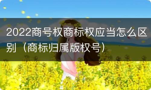 2022商号权商标权应当怎么区别（商标归属版权号）