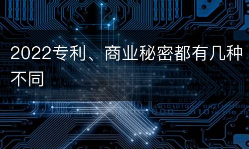 2022专利、商业秘密都有几种不同