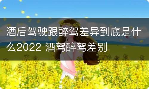 酒后驾驶跟醉驾差异到底是什么2022 酒驾醉驾差别