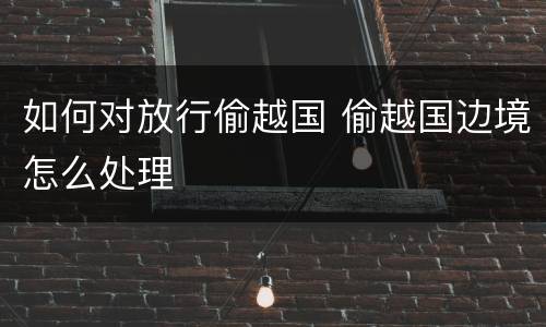 如何对放行偷越国 偷越国边境怎么处理
