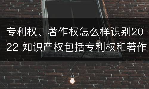 专利权、著作权怎么样识别2022 知识产权包括专利权和著作权吗