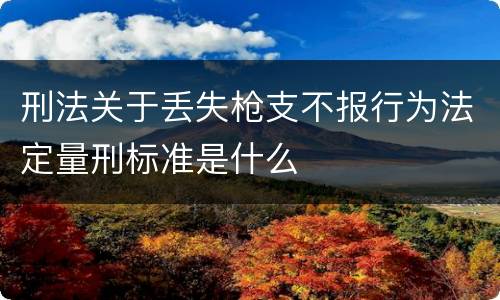 刑法关于丢失枪支不报行为法定量刑标准是什么