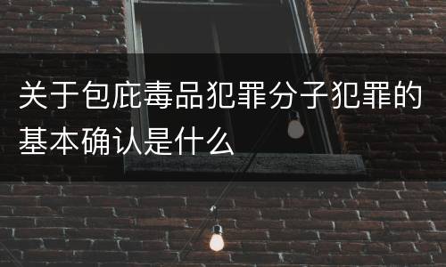 关于包庇毒品犯罪分子犯罪的基本确认是什么