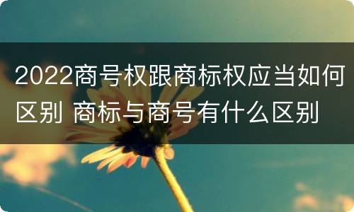 2022商号权跟商标权应当如何区别 商标与商号有什么区别