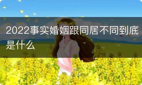 2022事实婚姻跟同居不同到底是什么