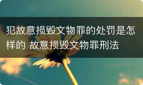犯故意损毁文物罪的处罚是怎样的 故意损毁文物罪刑法