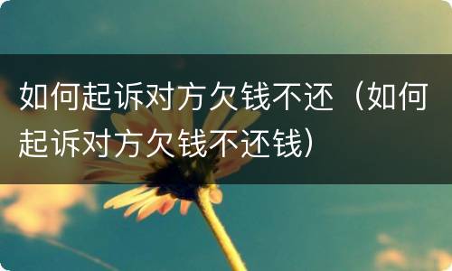 如何起诉对方欠钱不还（如何起诉对方欠钱不还钱）