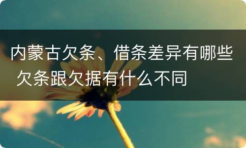 内蒙古欠条、借条差异有哪些 欠条跟欠据有什么不同