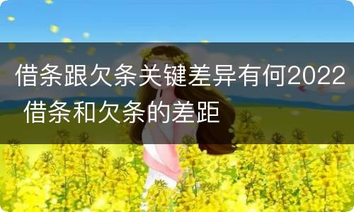 借条跟欠条关键差异有何2022 借条和欠条的差距