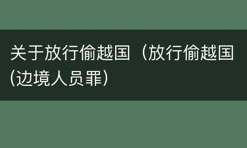 关于放行偷越国（放行偷越国(边境人员罪）