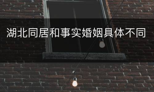 湖北同居和事实婚姻具体不同