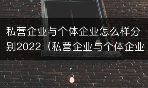 私营企业与个体企业怎么样分别2022（私营企业与个体企业怎么样分别2022年报税）