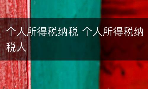 个人所得税纳税 个人所得税纳税人