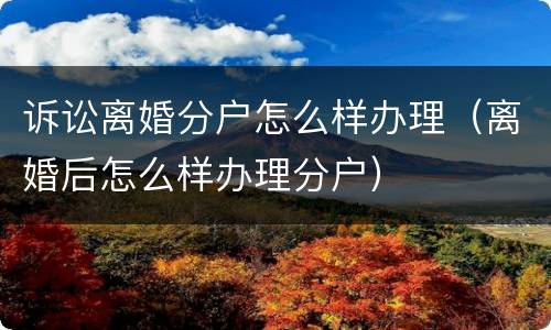 诉讼离婚分户怎么样办理（离婚后怎么样办理分户）