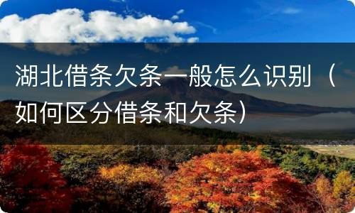 湖北借条欠条一般怎么识别（如何区分借条和欠条）