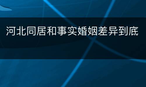 河北同居和事实婚姻差异到底