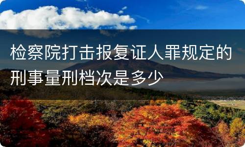 检察院打击报复证人罪规定的刑事量刑档次是多少