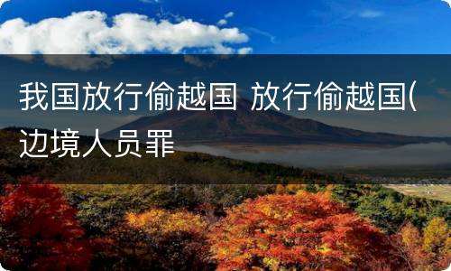 我国放行偷越国 放行偷越国(边境人员罪