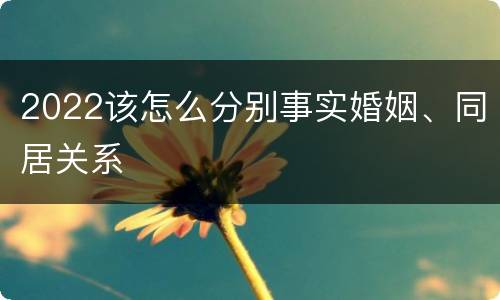 2022该怎么分别事实婚姻、同居关系
