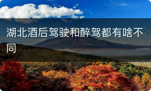 湖北酒后驾驶和醉驾都有啥不同