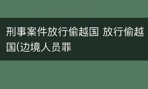 刑事案件放行偷越国 放行偷越国(边境人员罪
